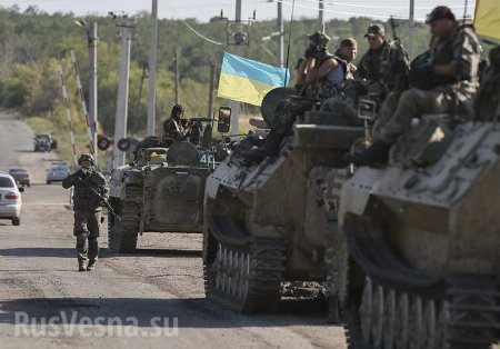 ВАЖНО: В правительстве Украины призывают начать военную операцию на Волыни (ВИДЕО)