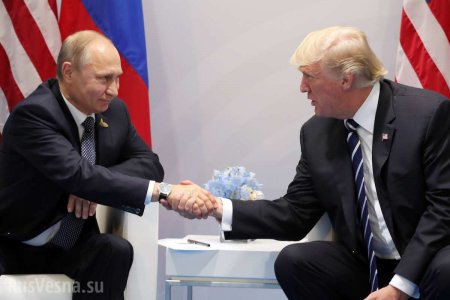Кремль прокомментировал сроки возможной встречи Путина и Трампа