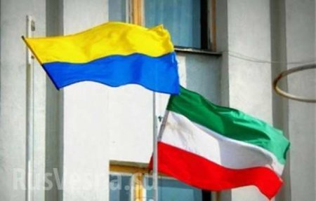 Венгрия требует от Киева официального статуса для венгерского языка