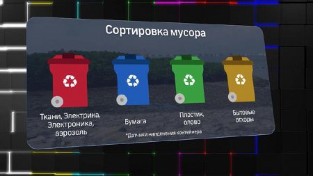 С 2019 года Москва и Подмосковье перейдут на раздельный сбор мусора