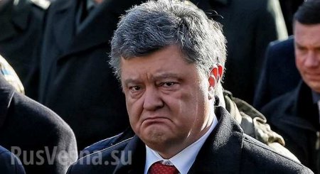 «Навоз» для Порошенко: как СБУ имитировала попытку госпереворота, за которую сели Савченко и Рубан (ФОТО)