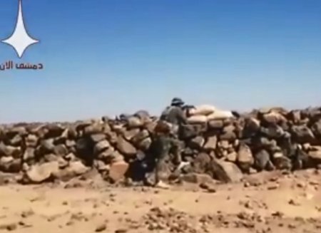 "Исламское государство" отбило атаки сирийской армии на плато Ас-Сафа