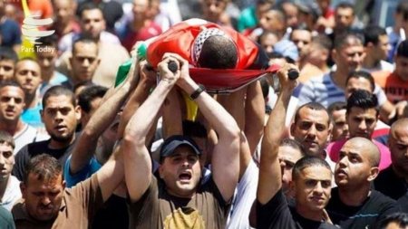 Палестинцы продолжили «Марш возвращения» - пострадало 30 человек