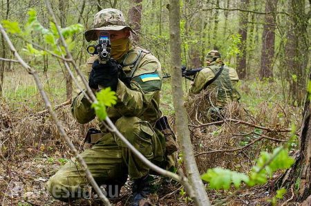 Иностранные военспецы прибыли под Луганск