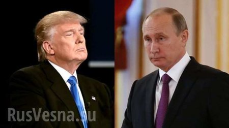 Названы темы переговоров Путина и Трампа на G20