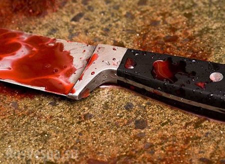 Под Киевом мужчина с ножом устроил кровавую резню на детском празднике в школе