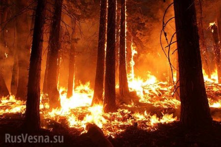 Страшные пожары в Забайкалье: сотни человек лишились своих домов (ВИДЕО)