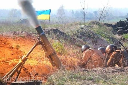 «Зеля, пошёл в сраку», — украинские оккупанты бьют из миномётов и посылают главнокомандующего (ВИДЕО)