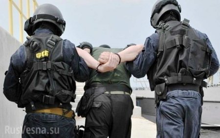 ФСБ задержала группу хакеров, изъято 80 млн рублей — подробности масштабной спецоперации (ВИДЕО)