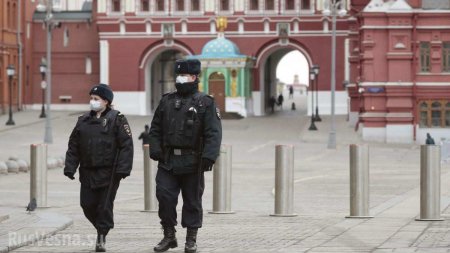 В МВД рассказали, сколько нарушителей режима самоизоляции поймали в Москве