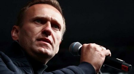 Химик разрушила теорию об отравлении Навального «Новичком»