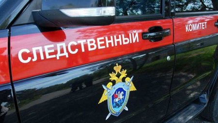 Резня в парке Екатеринбурга: подробности от МВД и Следкома
