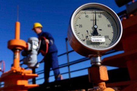 Переходим на биомассу: в «Нафтогазе» не хотят напрямую покупать газ у России