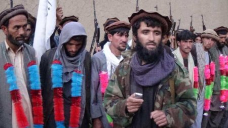 Талибы договороспособнее марионеточного правительства Афганистана, заявили в МИД РФ
