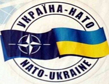 В НАТО заявили, что война на Донбассе не мешает принять Украину в альянс