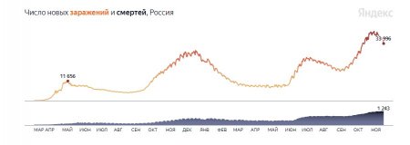 Пик пройден, кривая заражений пошла вниз: коронавирус в России