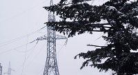 ДРСК призывает жителей Приморья соблюдать правила электробезопасности в новогодние праздники