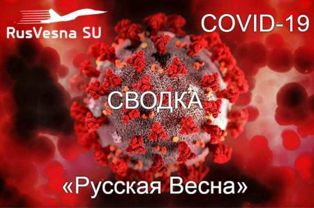 Минимальное число умерших за месяц: коронавирус в России
