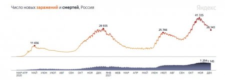 Графики заражения и смертности идут вниз: коронавирус в России