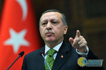 Эрдоган считает заявления об атаке России «безответственными»