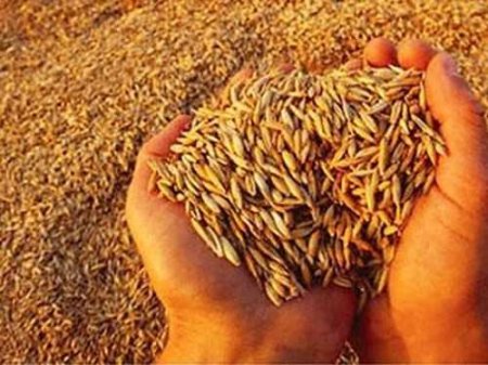 Украина подписала соглашение по экспорту зерна