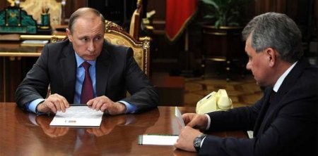 Путин поручил Шойгу доложить об обеспечении участников спецоперации