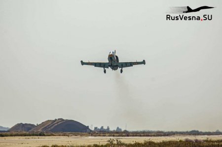Пентагон заявил о росте «небезопасного поведения» ВВС России в Сирии