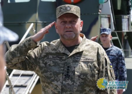 Киев обнародовал очередное фото с Залужным