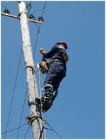 ДРСК приводит в нормативное состояние принятые от ТСО электросети в Хабаровском крае