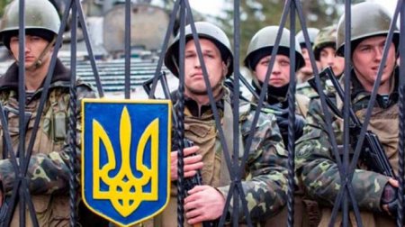 Террор украинских военкомов «дискредитировал идею мобилизации»