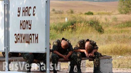Пьяные украинские каратели перестреляли друг друга, итог — 4 трупа