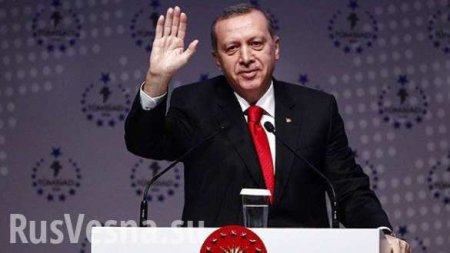 Гибридная война Эрдогана
