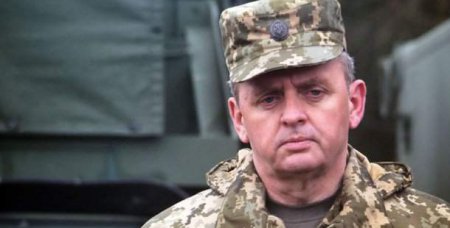 Вице-спикер Рады выступила за увольнение Муженко