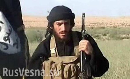 ВАЖНО: ВКС РФ уничтожили «второго человека» в ИГИЛ, американские СМИ пытаются приписать эту победу США