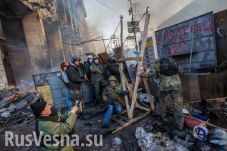 Зрада: снайперы «Альфы» и «Сокола» на Майдане не стреляли, — Генпрокуратура Украины