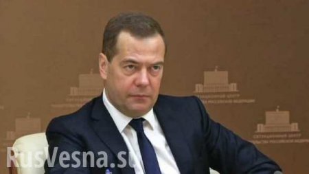 Россия вернула статус ведущего игрока на продовольственном рынке, — Медведев