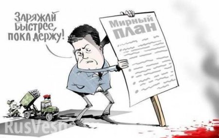 Никаких «минсков» Украина выполнять не будет! — мнение