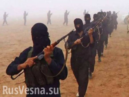 Иностранные боевики ИГИЛ отказываются воевать, — Washington Post
