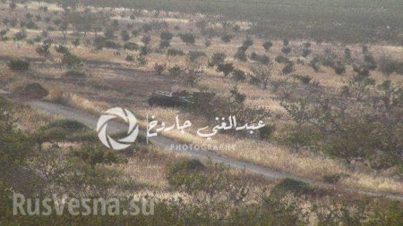 Танковая атака «Аль-Каиды» захлебнулась в крови: кадры уничтожения бронетехники в сирийской Хаме (ВИДЕО, ФОТО 18+)
