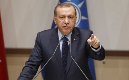 Эрдоган назвал Израиль «террористическим государством»