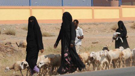 Саудовская Аравия депортирует йеменских мигрантов в голод и разруху