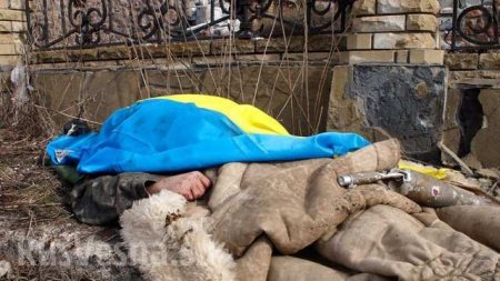 Донбасс: новые потери ВСУ, уничтожен каратель