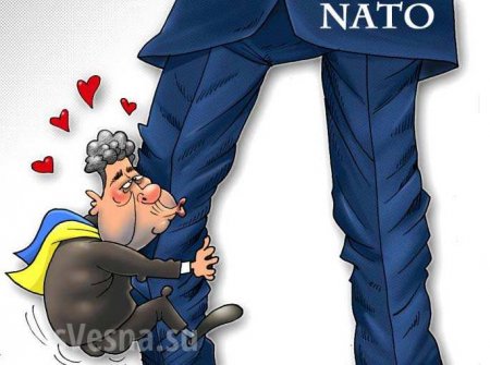 Порошенко: «НАТО мотивирует нас на реформы, спасибо за критику» (ВИДЕО)
