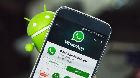 Скрытые функции WhatsApp позволяют очистить смартфон от мусора и скрыть время пребывания в Сети