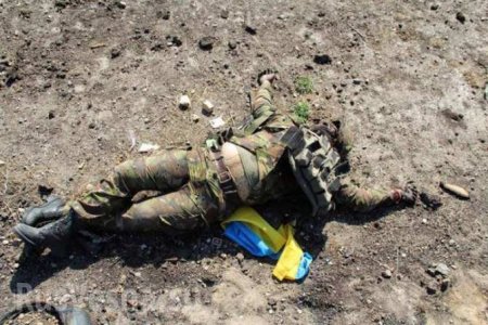 На Донбассе уничтожен украинский военный