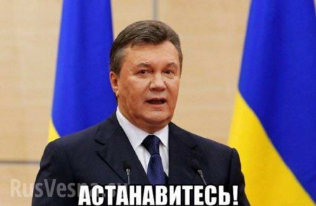На Украине обещают поймать Януковича «в огороде в платье»