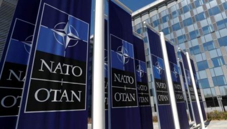 Пока прибалтийские политики кланяются США, военные НАТО унижают местных в наркотическом угаре