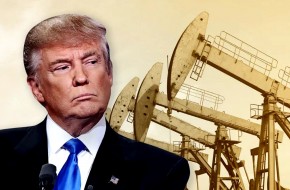 Утопить коронавирус в нефти: Трамп пошёл на поклон к Путину